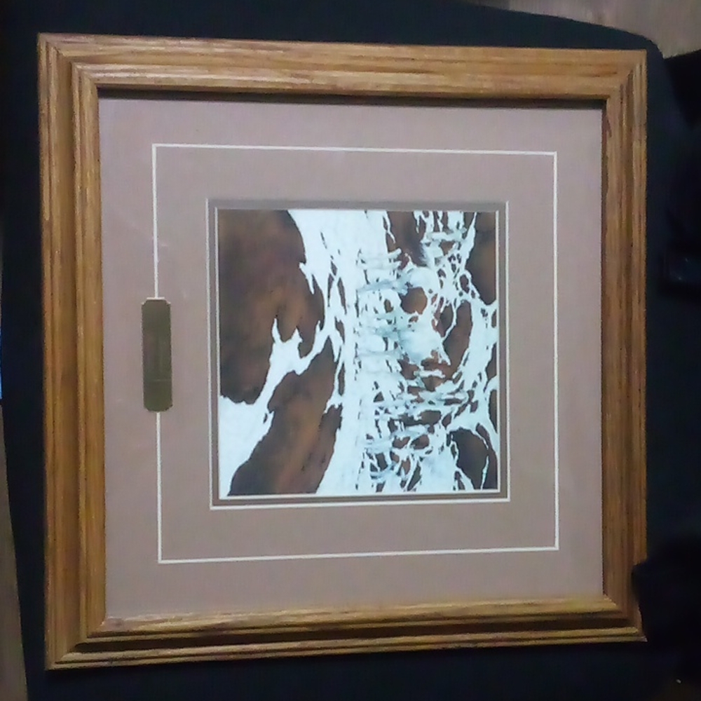 One of the thousand pint prints by bev doolittle